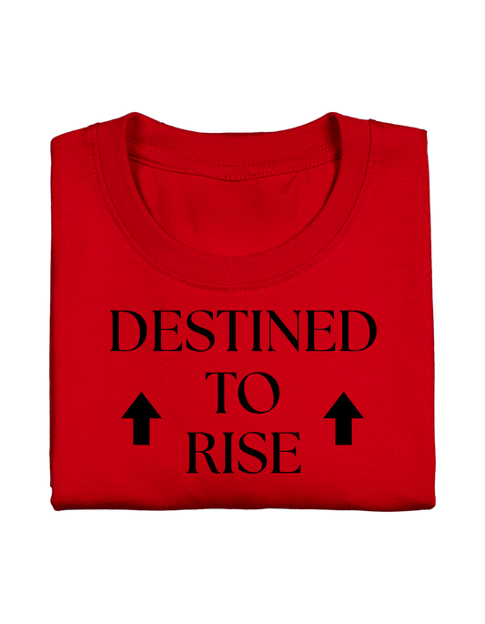 DESTINED TO RISE UP