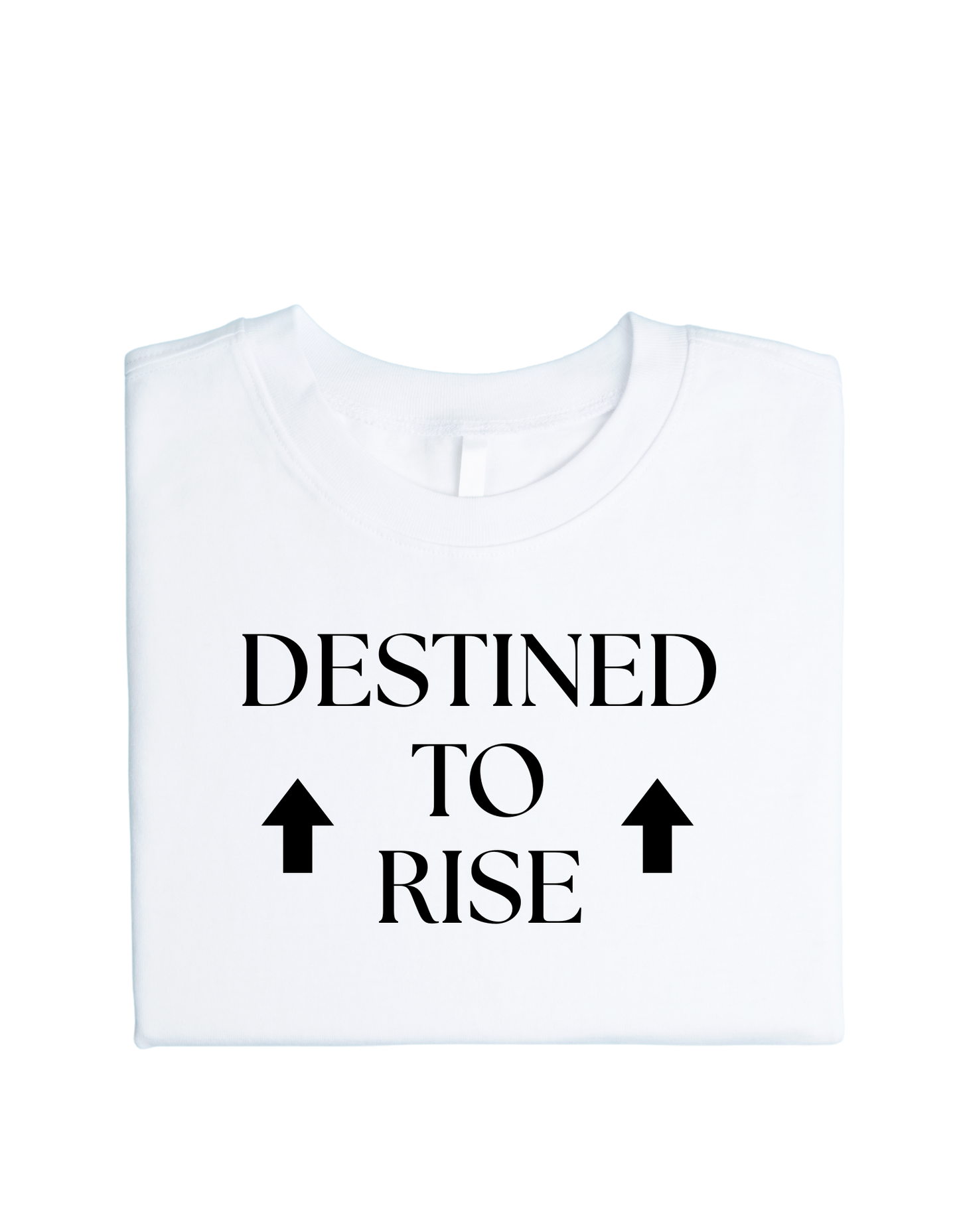 DESTINED TO RISE UP