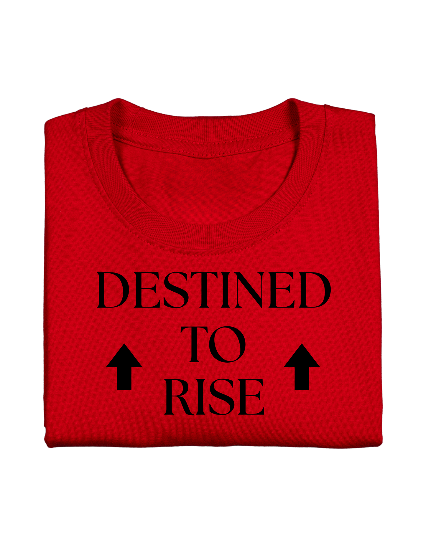 DESTINED TO RISE UP